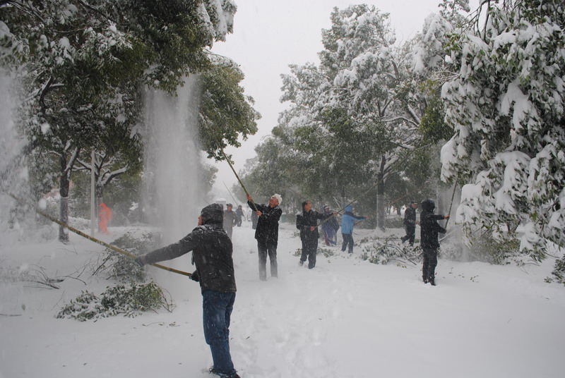 淮南師范學(xué)院召開抗雪防災(zāi)工作會議，加強校園安全工作