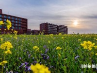 南開師范大學津南校區(qū)2023年學費、收費多少