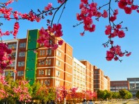 云南經(jīng)濟管理師范學院海源校區(qū)歷年錄取分數(shù)線