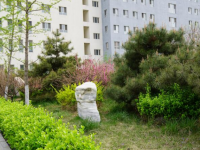 涿州幼師技師學(xué)院2023年學(xué)費、收費多少