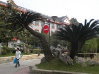 四川大學(xué)師范學(xué)院望江校區(qū)2023年學(xué)費(fèi)、收費(fèi)多少