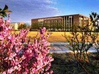 遼寧大學師范學院蒲河校區(qū)2023年學費、收費多少
