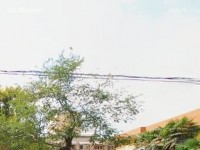 西安職業(yè)中等幼師專業(yè)學(xué)校2023年報(bào)名條件、招生要求、招生對象