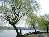 金華職業(yè)技術(shù)師范學(xué)院2023年學(xué)費(fèi)、收費(fèi)多少