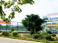 廣西大學(xué)行健文理師范學(xué)院2023年學(xué)費(fèi)、收費(fèi)多少