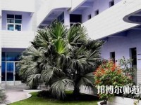 四川信息工程幼兒師范學(xué)校2023年報名條件、招生要求、招生對象