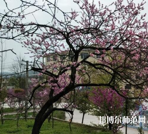 貴陽中華幼師職業(yè)學(xué)校2023年怎么樣、好不好