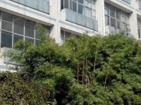 貴州貴陽中山科技幼兒師范學(xué)校2023年學(xué)費、收費多少