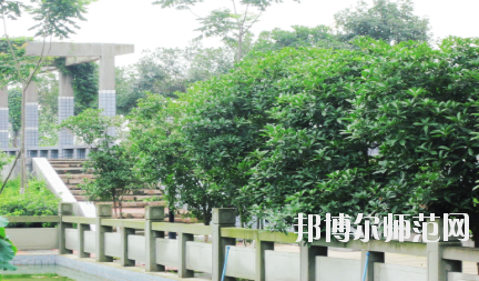 德陽(yáng)通用電子科技幼兒師范學(xué)校2020年報(bào)名條件、招生要求、招生對(duì)象