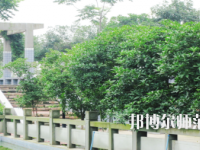 德陽通用電子科技幼兒師范學(xué)校2021年報名條件、招生要求、招生對象