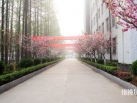 湖北設(shè)有幼師學校的公辦大專學校