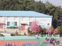 云南林業(yè)幼兒師范高級技工學(xué)校2023年學(xué)費、收費多少