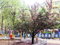 石家莊法商幼兒師范中等專業(yè)學(xué)校2023年報(bào)名條件、招生要求、招生對(duì)象