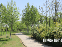 石家莊中英航空幼兒師范中等專業(yè)學(xué)校2023年怎么樣、好不好