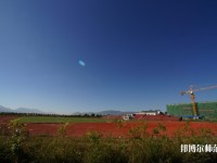 云南2020年初中生有哪些幼師學(xué)校？