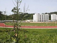 四川幼兒師范高等?？茖W(xué)校2023年招生簡章