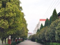 潢川幼兒師范學(xué)校2023年報(bào)名條件、招生要求、招生對象