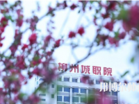 柳州城市職業(yè)師范學院2023年怎么樣、好不好