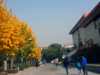 西北師范大學(xué)2023年學(xué)費(fèi)、收費(fèi)多少