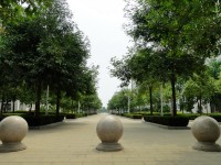 廣西現(xiàn)代職業(yè)技術(shù)師范學(xué)院2023年報(bào)名條件、招生要求、招生對(duì)象