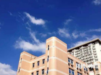 東華大學(xué)師范學(xué)院延安路校區(qū)2023年報(bào)名條件、招生要求、招生對(duì)象
