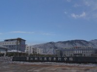 麗江師范高等?？茖W(xué)校歷年招生錄取分數(shù)線