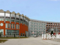 濟南幼兒師范高等?？茖W校2023年有哪些專業(yè)