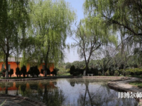 西安2021年幼師學(xué)校哪個(gè)專(zhuān)業(yè)比較好