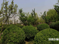 西安2021年幼師學(xué)校里面有哪些專(zhuān)業(yè)