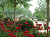 河南科技職業(yè)師范大學(xué)2023年報(bào)名條件、招生要求、招生對象