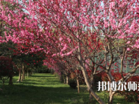 河南科技職業(yè)師范大學(xué)2023年怎么樣、好不好