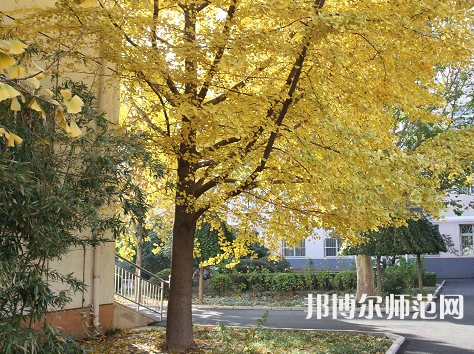 北京京北職業(yè)師范技術(shù)學(xué)院2023年報(bào)名條件、招生要求、招生對象