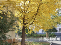 北京京北職業(yè)師范技術(shù)學(xué)院2023年報(bào)名條件、招生要求、招生對(duì)象