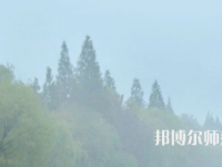 鄭州大學師范學院南校區(qū)2023年報名條件、招生要求、招生對象
