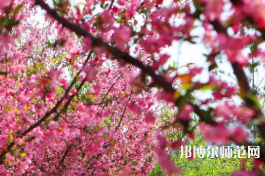 鄭州大學(xué)師范學(xué)院主校區(qū)2023年報(bào)名條件、招生要求、招生對(duì)象
