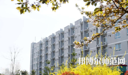 周口職業(yè)技術(shù)師范學(xué)院開(kāi)元校區(qū)2023年怎么樣、好不好