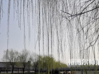鶴壁職業(yè)技術師范學院2023年怎么樣、好不好