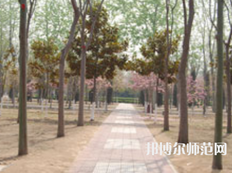 濮陽職業(yè)技術師范學院2023年報名條件、招生要求、招生對象