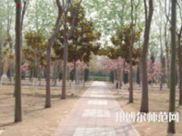 濮陽職業(yè)技術(shù)師范學院2023年報名條件、招生要求、招生對象