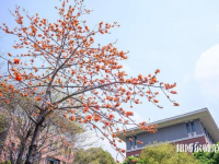 中山大學新華師范學院東莞校區(qū)2023年地址在哪里