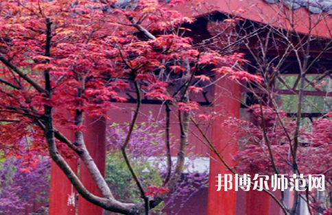 駐馬店師范職業(yè)技術(shù)學院2023年怎么樣、好不好