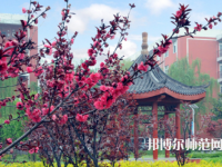 駐馬店師范職業(yè)技術(shù)學院2023年報名條件、招生要求、招生對象