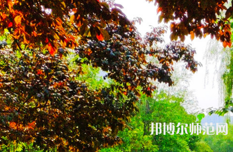 河南大學師范學院金明校區(qū)2023年怎么樣、好不好