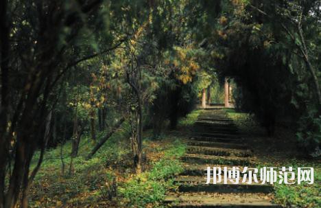 延安大學(xué)西安創(chuàng)新師范學(xué)院2023年怎么樣、好不好