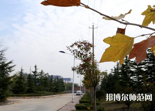 陜西職業(yè)技術師范學院2023年報名條件、招生要求、招生對象 