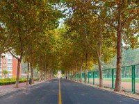 聊城師范大學(xué)東昌學(xué)院2023年報名條件、招生要求、招生對象