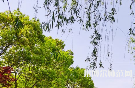 南陽(yáng)理工師范學(xué)院2023年報(bào)名條件、招生要求、招生對(duì)象