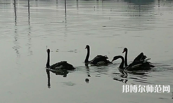 浙江師范大學(xué)行知學(xué)院蘭溪校區(qū)2023年怎么樣、好不好
