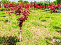 漢中職業(yè)技術(shù)師范學(xué)院2023年怎么樣、好不好