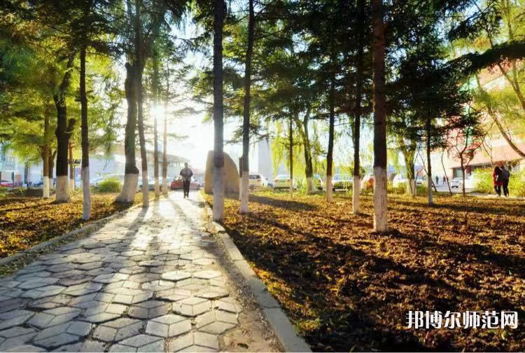 長春大學(xué)師范學(xué)院主校區(qū)2023年報(bào)名條件、招生要求、招生對(duì)象